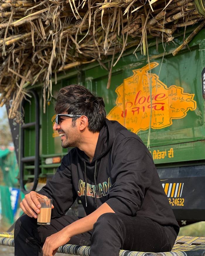 kartik aaryan_teluguvox 3